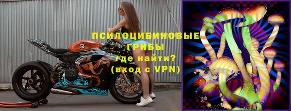 твердый Армянск