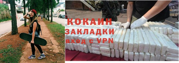 прущие грибы Аркадак